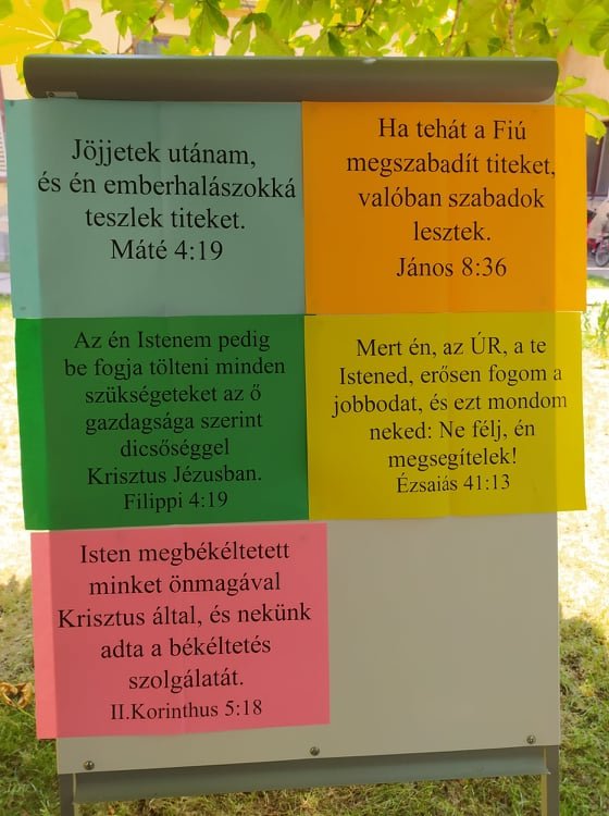 Ifjúsági és Vakációs Bibliahét 18